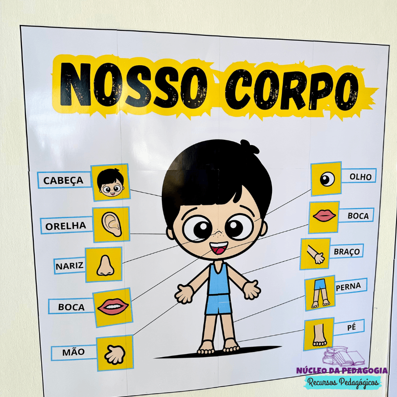 Cartaz Corpo Humano para educação infantil